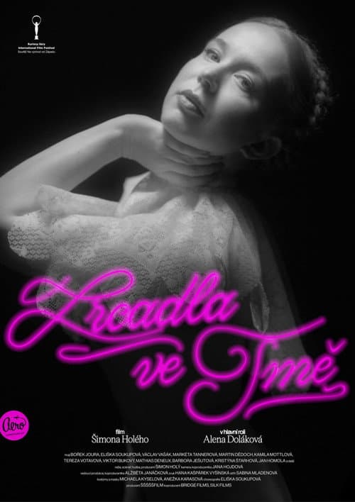 Zrcadla ve tmě (2021) poster