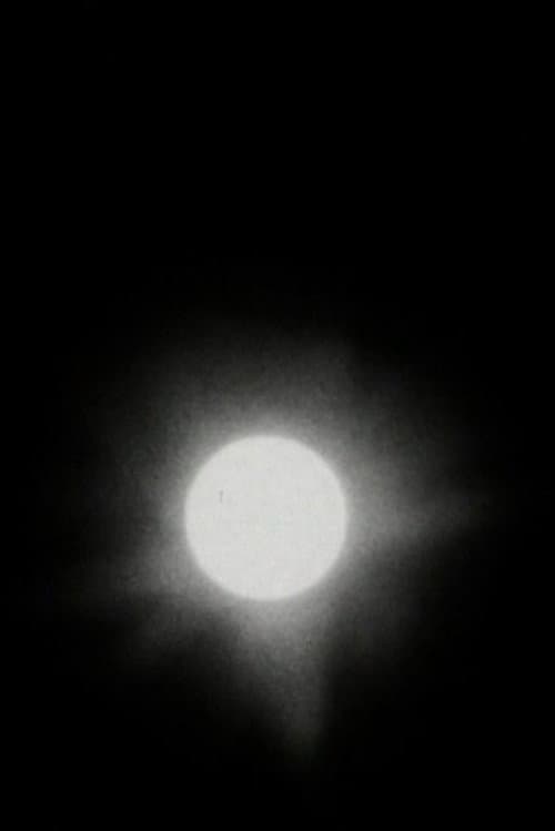 The Transit of Venus (2005) poster
