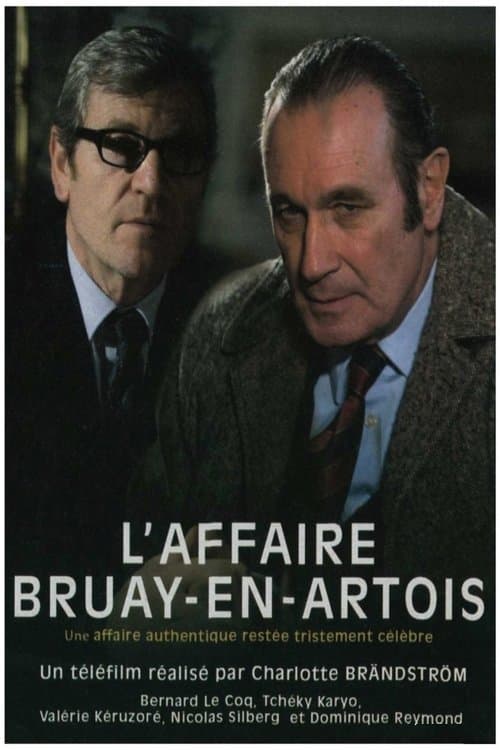 L'Affaire Bruay-en-Artois (2008) poster