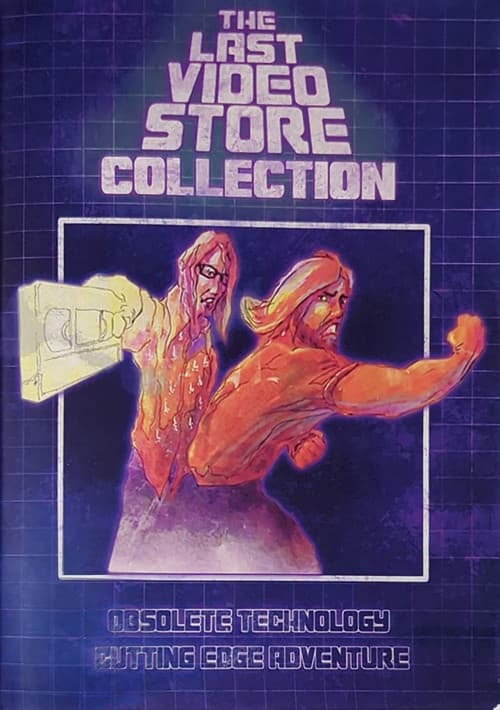 The Last Videostore (2013) poster