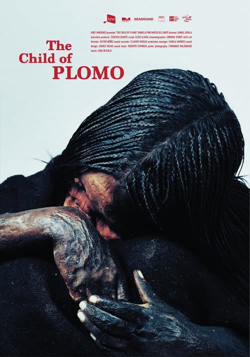 El niño del Plomo (2021) poster
