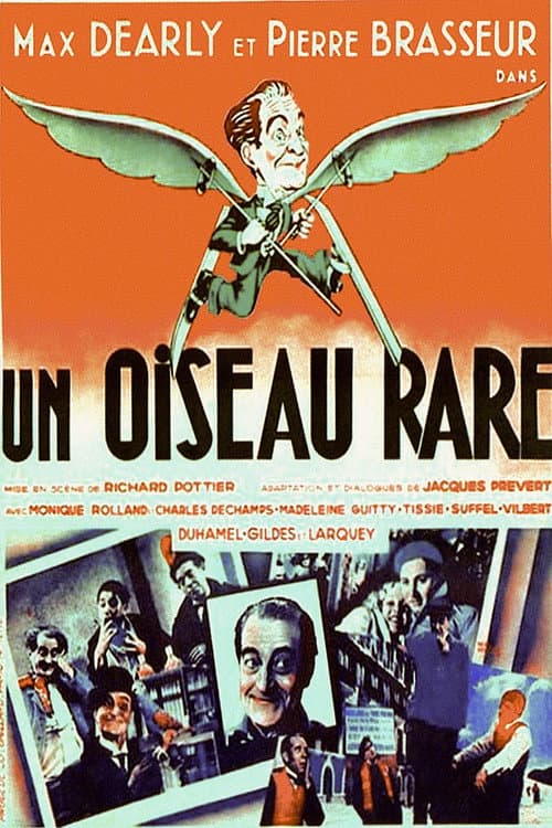 Un oiseau rare (1935) poster