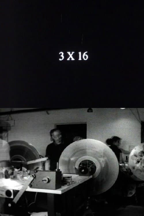 3 x 16 (2007) poster