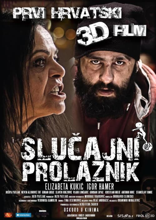 Slučajni prolaznik (2013) poster