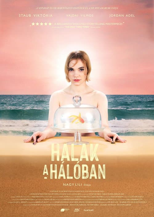 Halak a hálóban (2019) poster