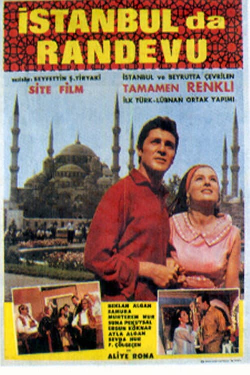 İstanbul'da Randevu (1966) poster