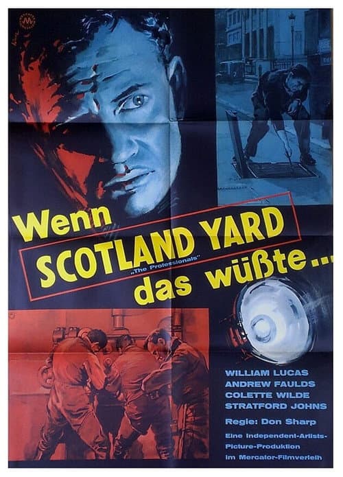 The Professionals (1960) poster