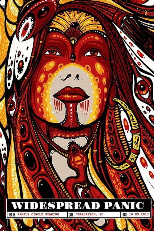 Widespread Panic: Live at Family Circle Stadium Charleston (2013) poster