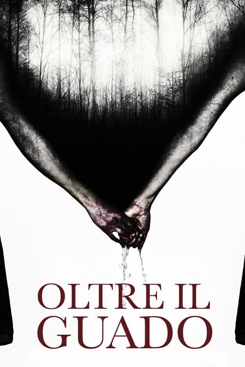 Oltre il guado (2013) poster