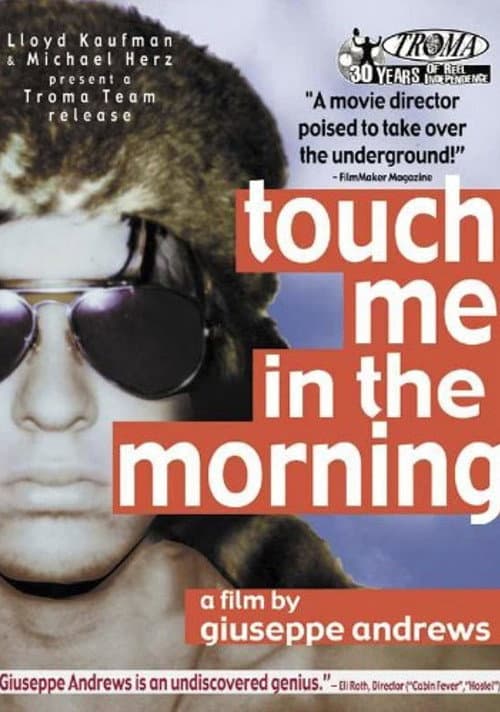 Touch Me in the Morning (1999) poster