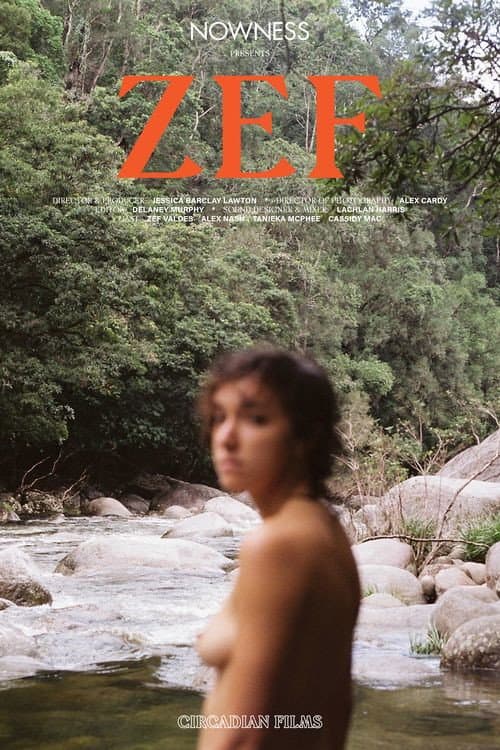 ZEF (2020) poster