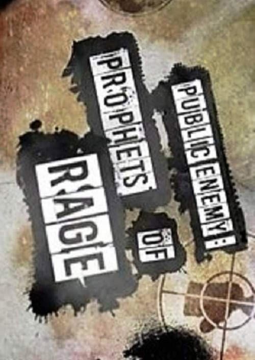 Public Enemy: Prophets Of Rage (2011) poster