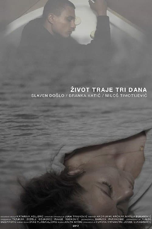 Život traje tri dana (2017) poster