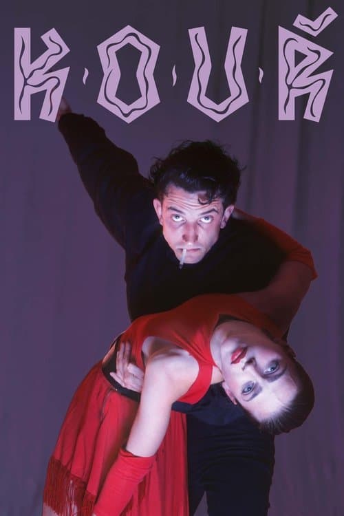 Kouř (1991) poster