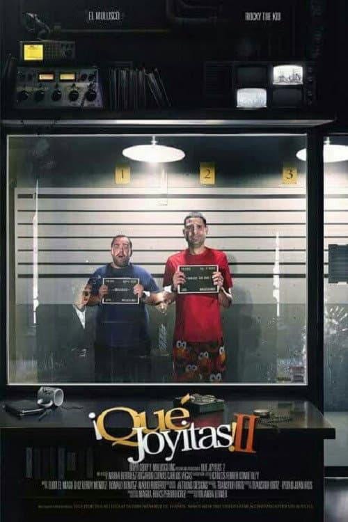 ¡Qué Joyitas! II (2013) poster