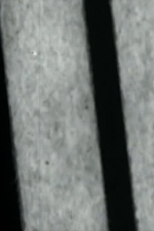 Sans titre (2006) poster