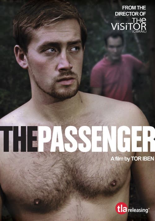 The Passenger (2012) poster