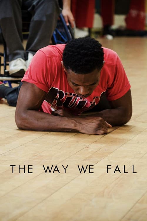 The Way We Fall (2016) poster