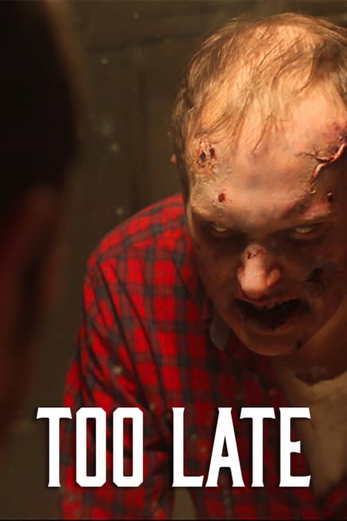 Too Late (2011) poster