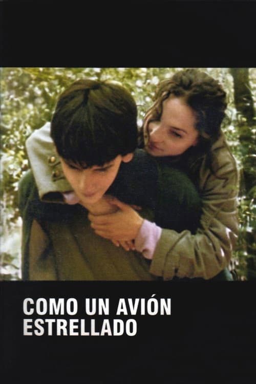 Como un avión estrellado (2005) poster