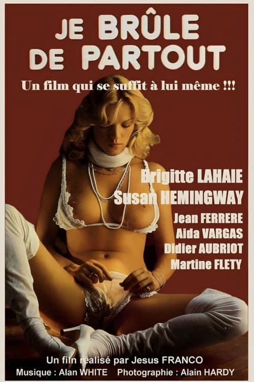Je brûle de partout (1979) poster