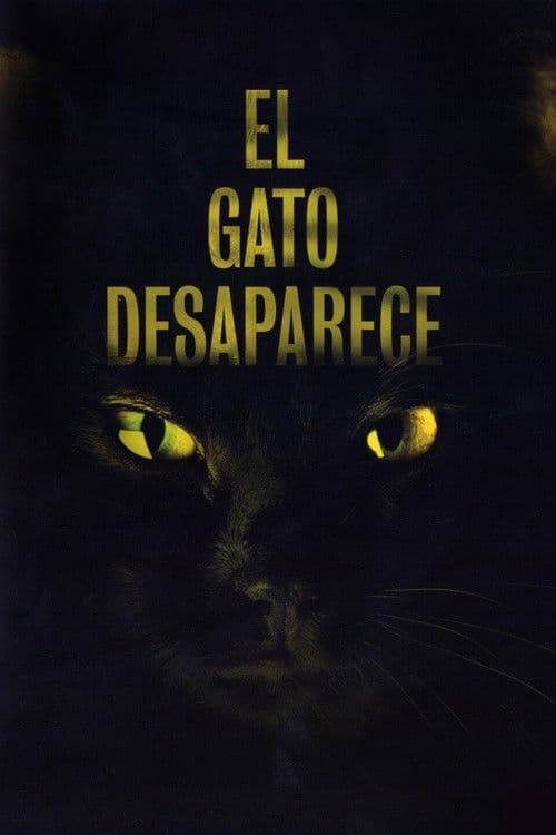El gato desaparece (2011) poster