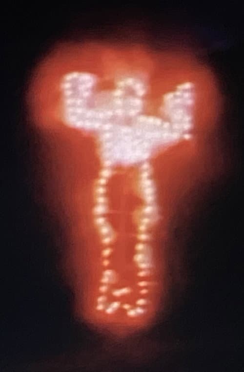 Ana Mendieta: Fuego de Tierra (1987) poster