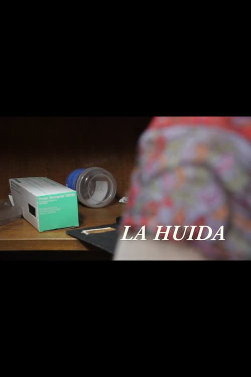 La huida (2017) poster