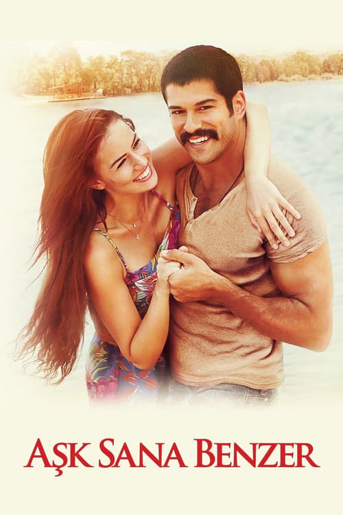 Aşk Sana Benzer (2015) poster