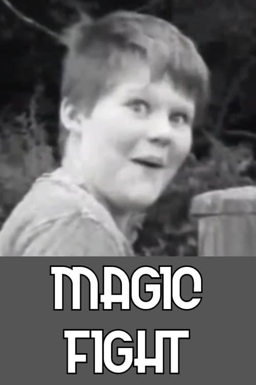 Magic Fight (2017) poster