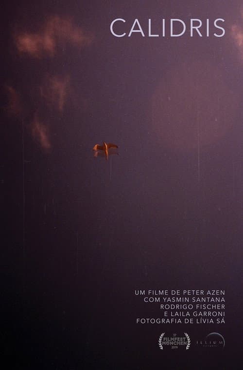 Calidris (2019) poster