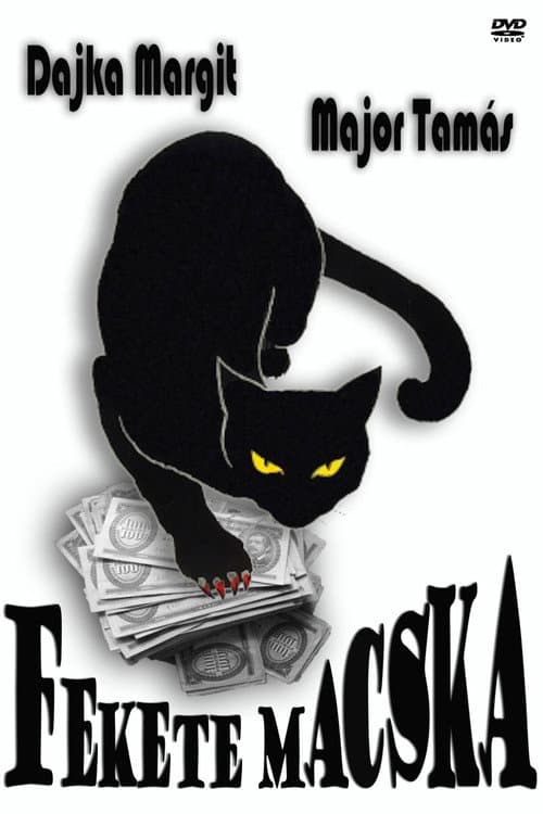 Fekete macska (1972) poster