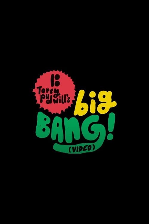 Plan B - Torey Pudwill's Big Bang (2011) poster