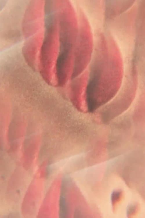 blood keys (2012) poster