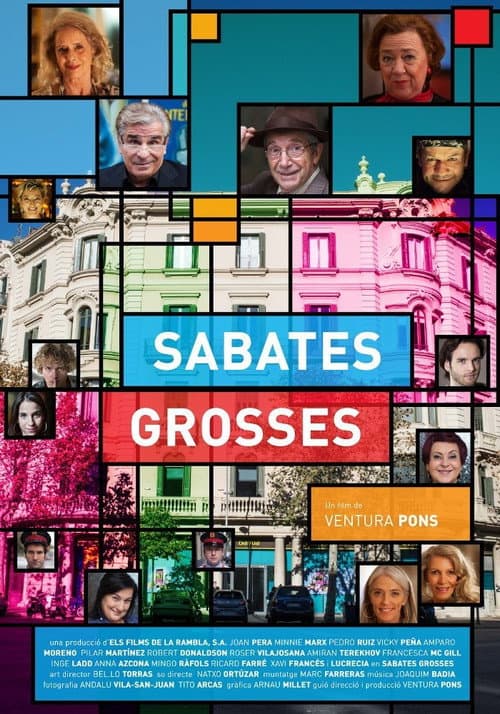 Sabates Grosses (2017) poster