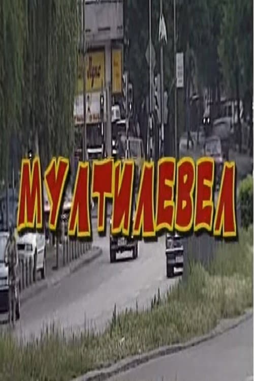 Мултилевел (2000) poster