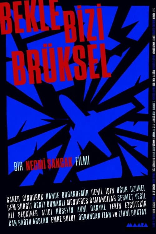 Bekle Bizi Brüksel (2026) poster