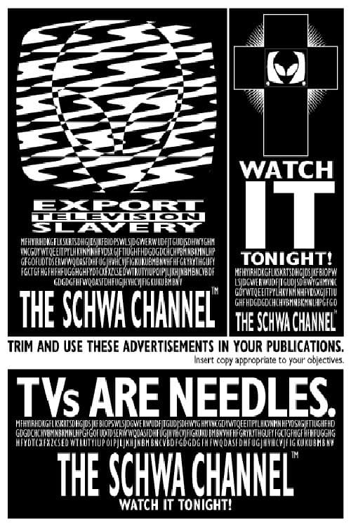SCHWA: THE MOVIE (2012) poster
