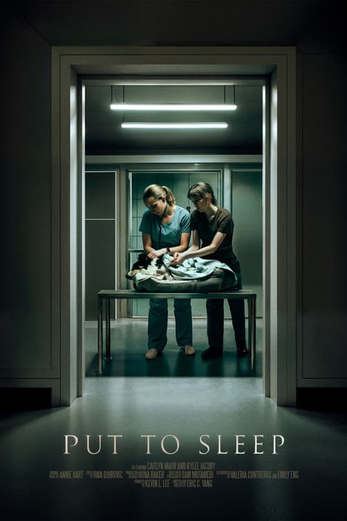 Put To Sleep (2024) poster