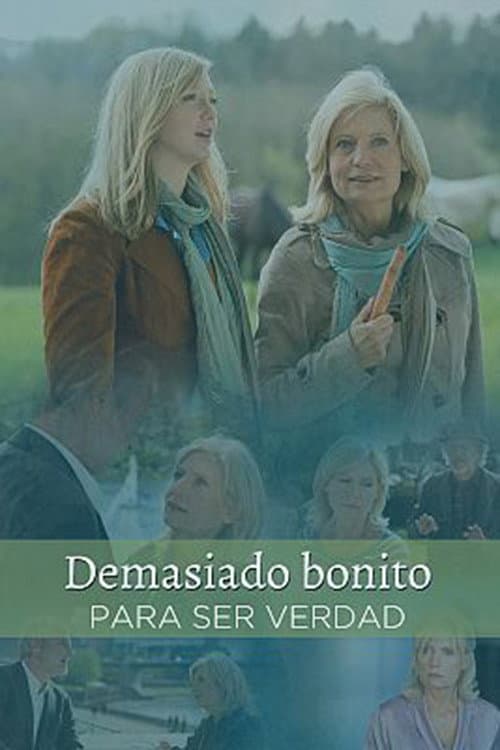 Zu schön um wahr zu sein (2012) poster