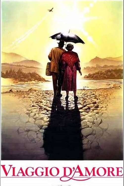 Viaggio d'amore (1990) poster