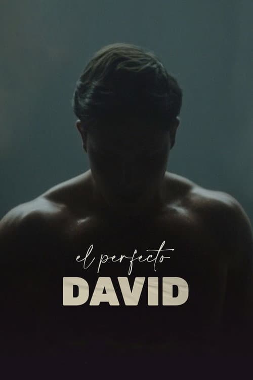 El perfecto David (2021) poster