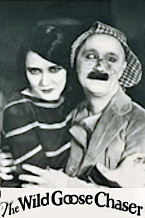The Wild Goose Chaser (1925) poster