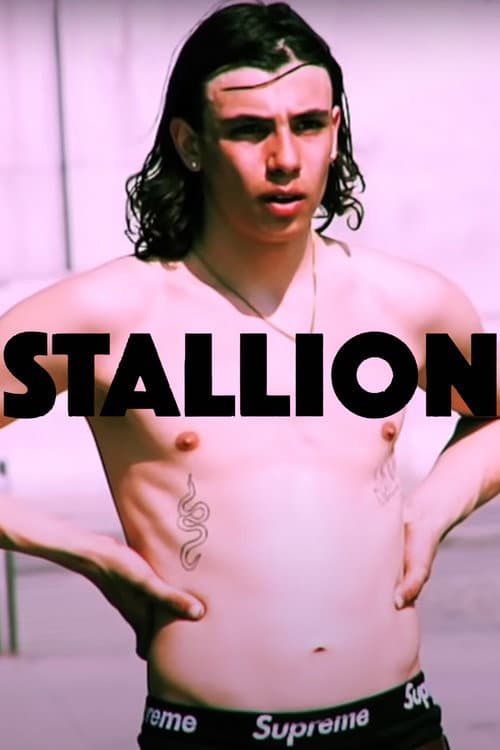 STALLION (2021) poster