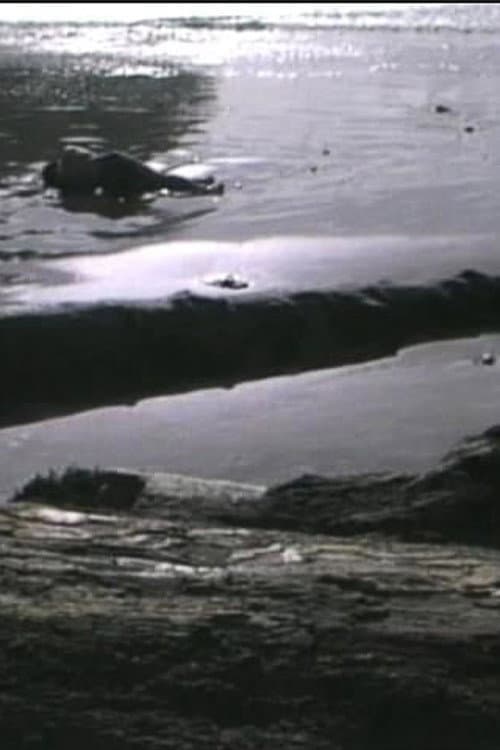 Incidence of Catastrophe (1988) poster