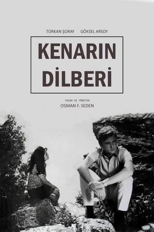 Kenarın Dilberi (1966) poster