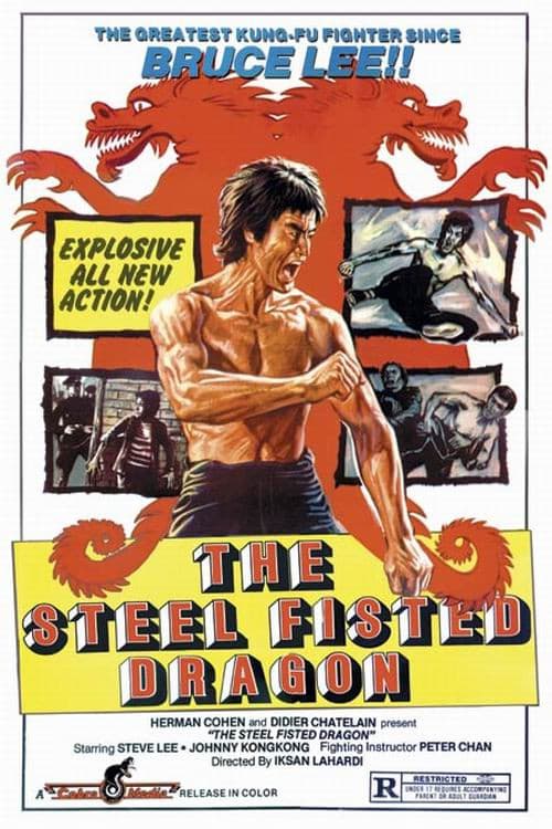 A Fistful of Dragon (1977) poster