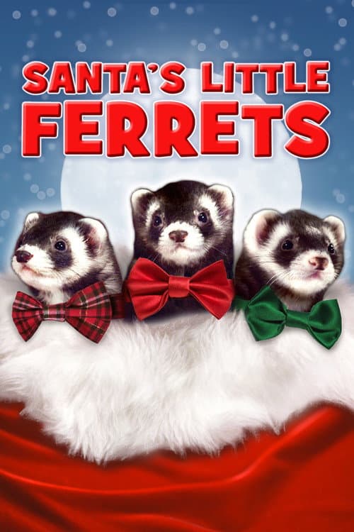 Santa's Little Ferrets (2014) poster