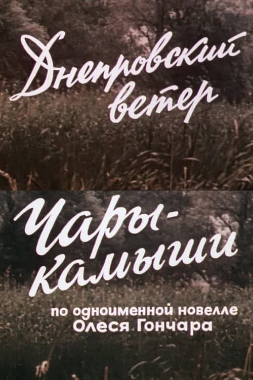 Днепровский ветер. Чары-камыши. (1976) poster