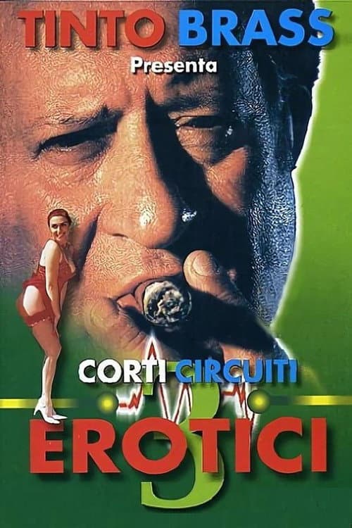 Corti circuiti erotici Vol.3 (1998) poster